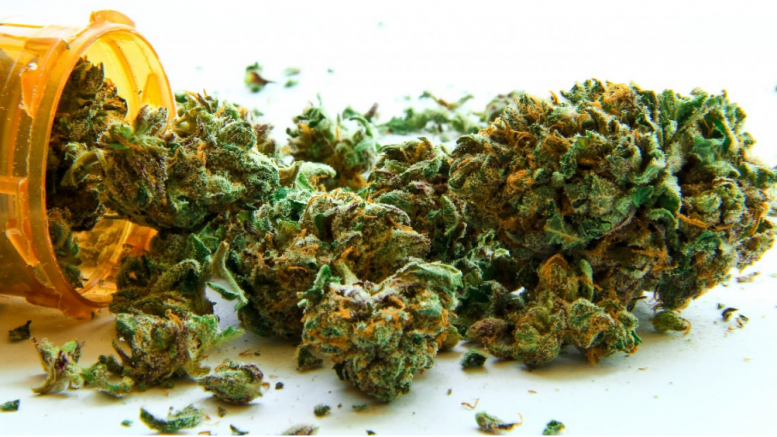 Cities in Florida Plan to Block Medical Marijuana Legalization